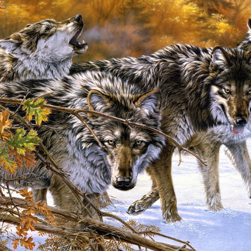 Hd-173375-ascw173375