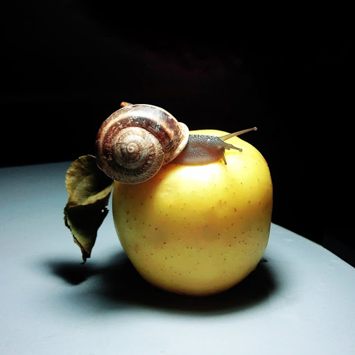 Hd-170544-ascw170544