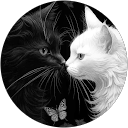 Image Google de Fabienne Pieczynski