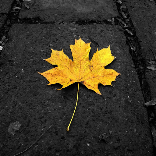 Hd-131002-ascw131002