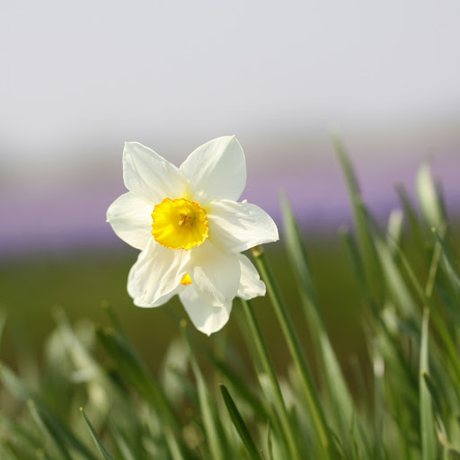 Hd-172726-ascw172726