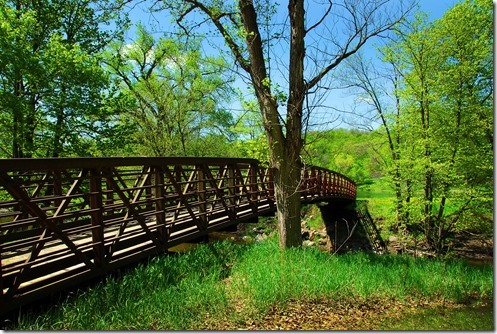 Redwood Bridge 2