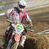 By Alessandra Tommei