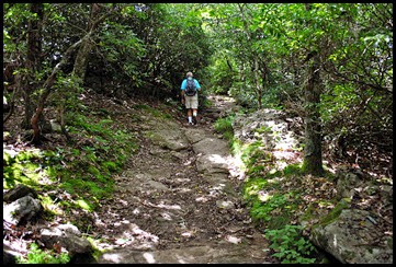 06d - Appalachian Trail climb up to summit