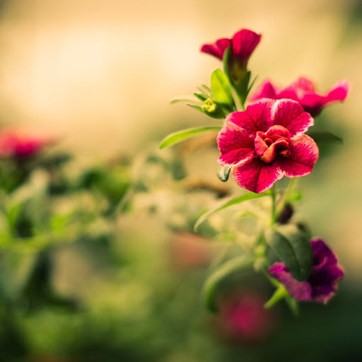 Hd-145253-ascw145253