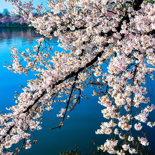 Hd-147668-ascw147668