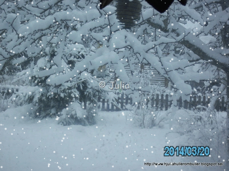 PICT1484[10]-SNOW (1)