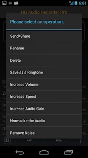   HD Audio Recorder- screenshot thumbnail   