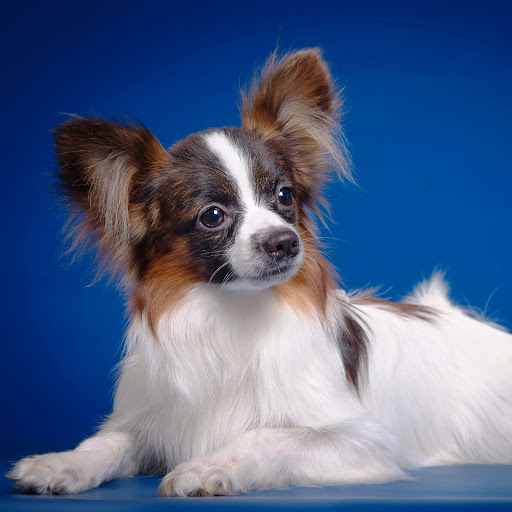 Hd-150360-ascw150360