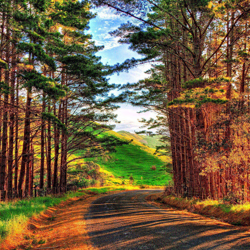 Hd-140706-ascw140706