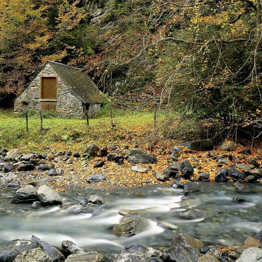 Hd-132117-ascw132117