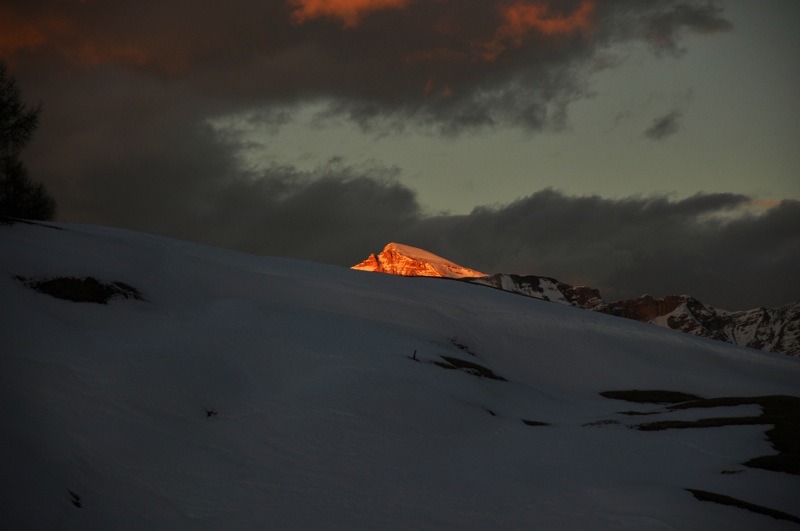 DSC_8294.JPG DSC 8294