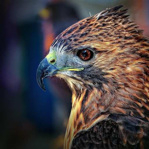 Hd-168362-ascw168362