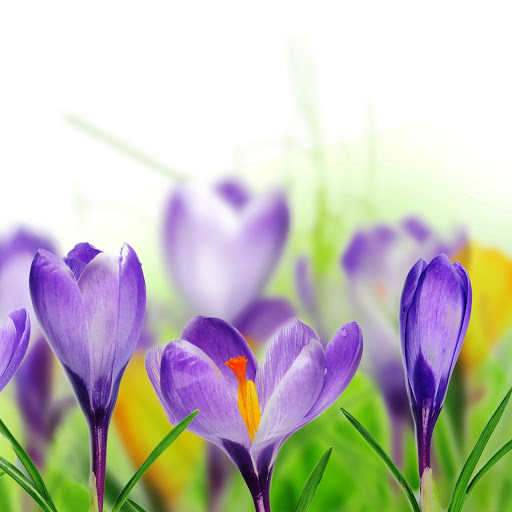 Hd-142217-ascw142217