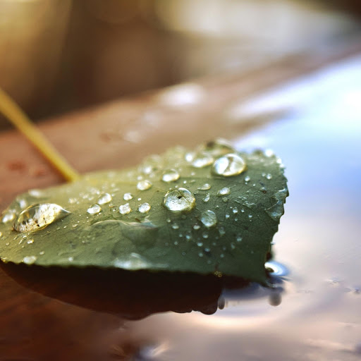 Hd-153024-ascw153024