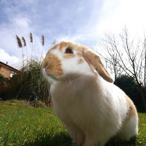 Hd-139977-ascw139977