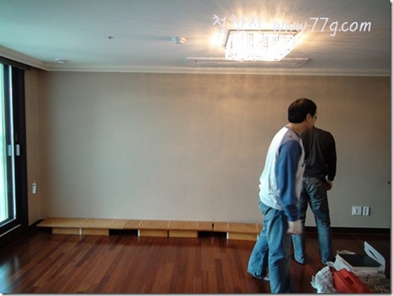 DIY1149DSC06582-20110131-110419