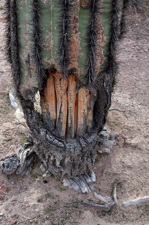 [DSC_0002%255B4%255D.jpg]