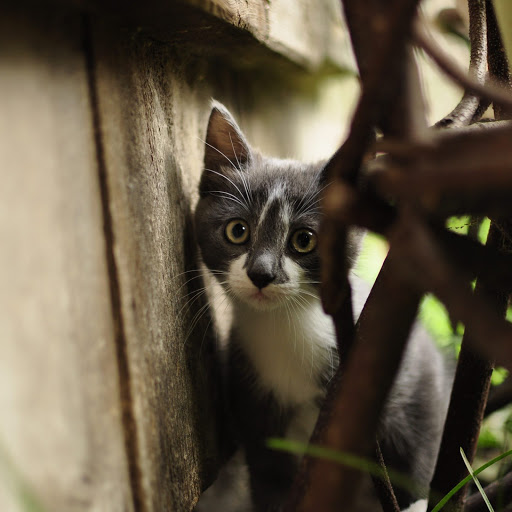 Hd-162182-ascw162182