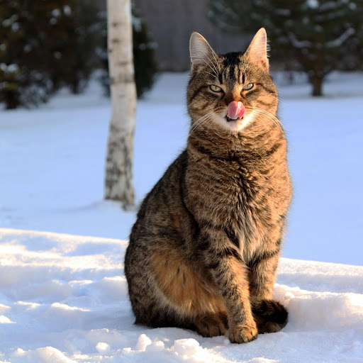 Hd-178167-ascw178167