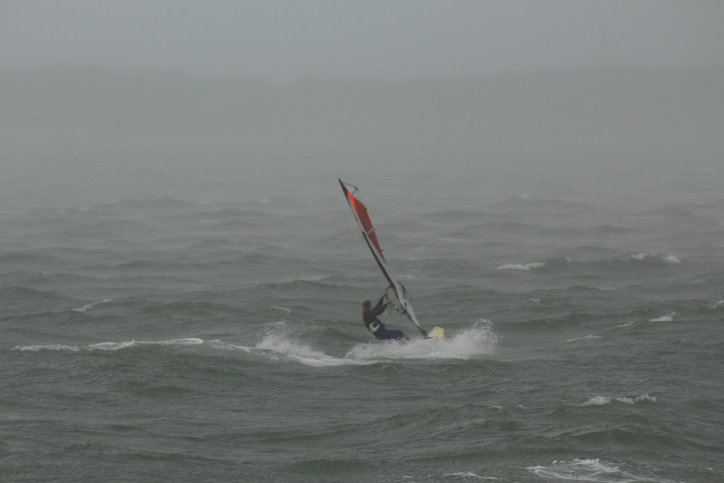 IMG_4468.JPG