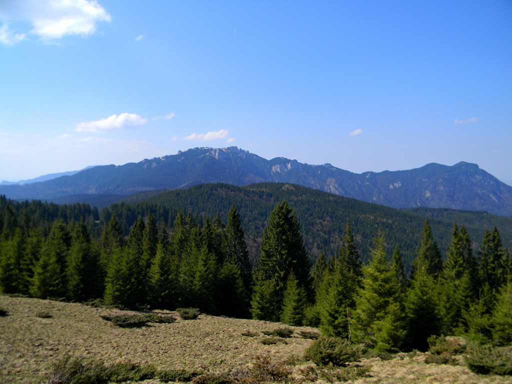 [DSCN79563.jpg]