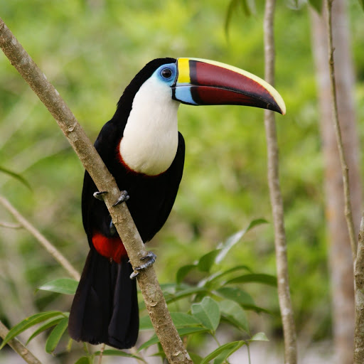 Hd-175521-ascw175521