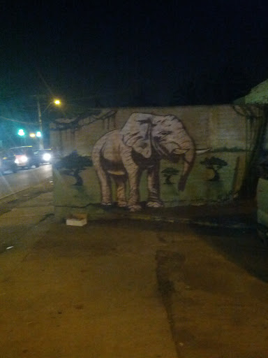 Mural Elefante Macul