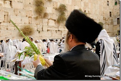 Man with four species during Sukkot at Western Wall, cd091006002