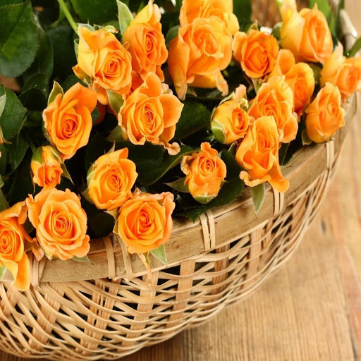 Hd-169730-ascw169730