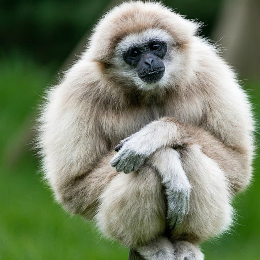 Hd-180458-ascw180458