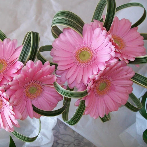 Hd-149257-ascw149257