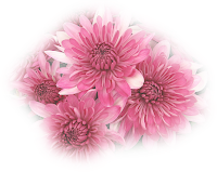 Image180.png