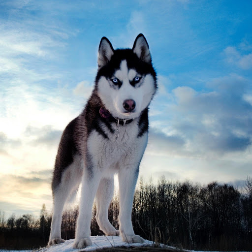 Hd-174841-ascw174841