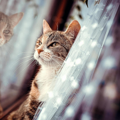 Hd-160912-ascw160912