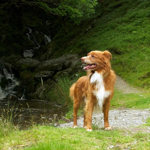 Hd-179065-ascw179065