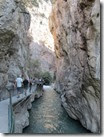 IMG_7956 IMG_7956