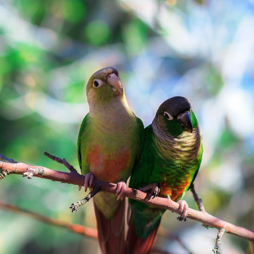 Hd-142740-ascw142740