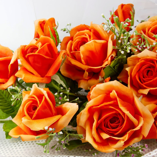 Hd-145937-ascw145937