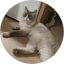 Image Google de Chauveau Yohann