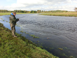Skjern Au _ Oktober 2012 - 039