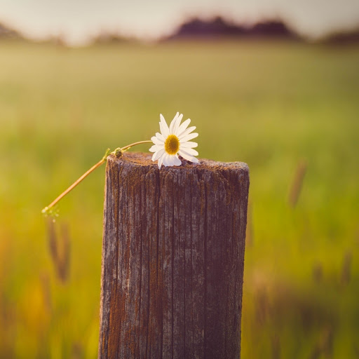 Hd-156731-ascw156731