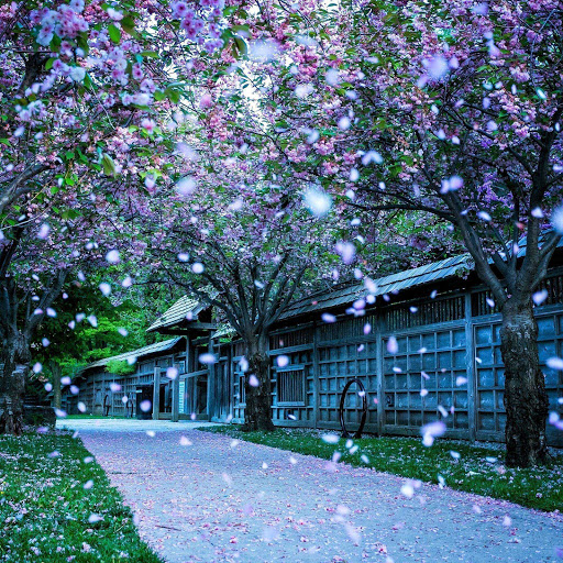 Hd-152978-ascw152978