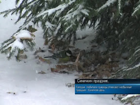 Синичкин праздник.