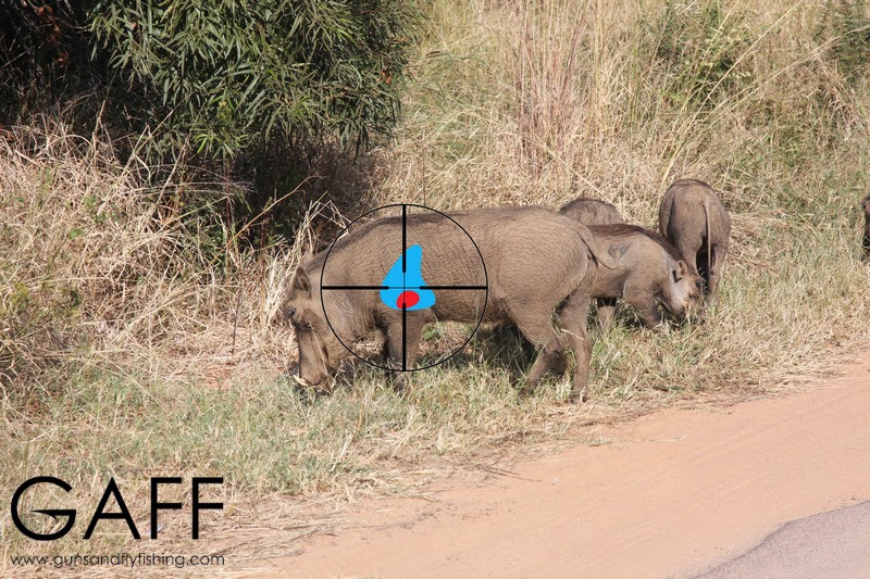 Warthog-hunting-shot-placement (4).jpg