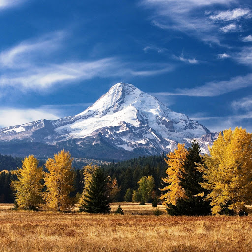 Hd-151147-ascw151147