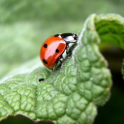 Hd-157071-ascw157071