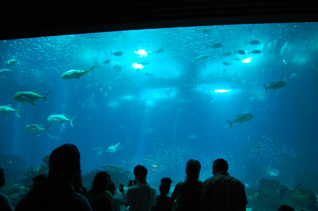 [DSC_0383%2520%25282%2529%255B3%255D.jpg]