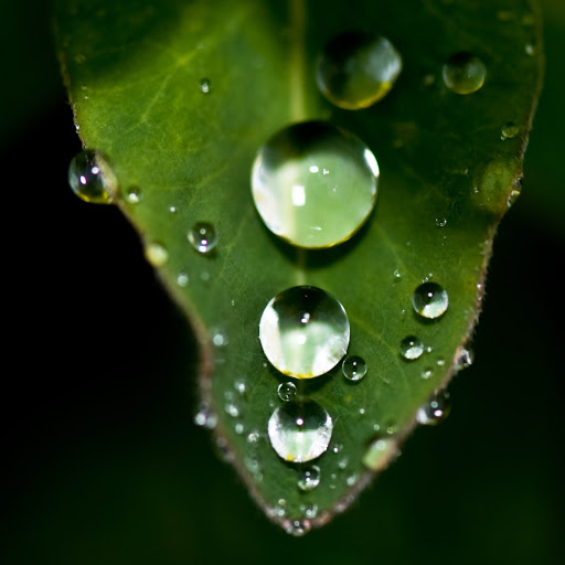 Hd-146436-ascw146436