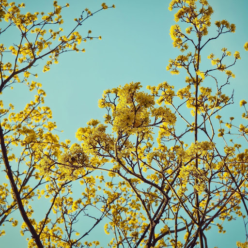 Hd-186271-ascw186271